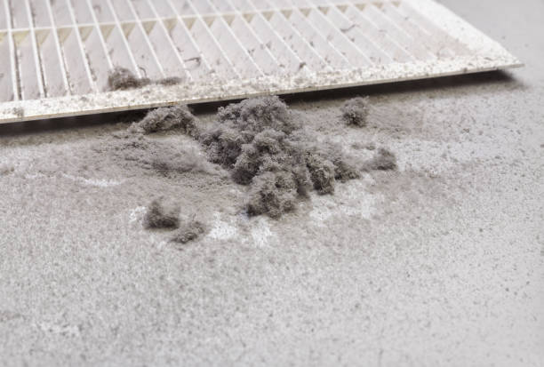 Best Affordable Duct Cleaning Services  in Federal Heights, CO