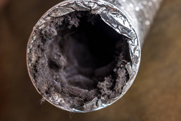 Best Professional Duct Cleaning Services  in Federal Heights, CO