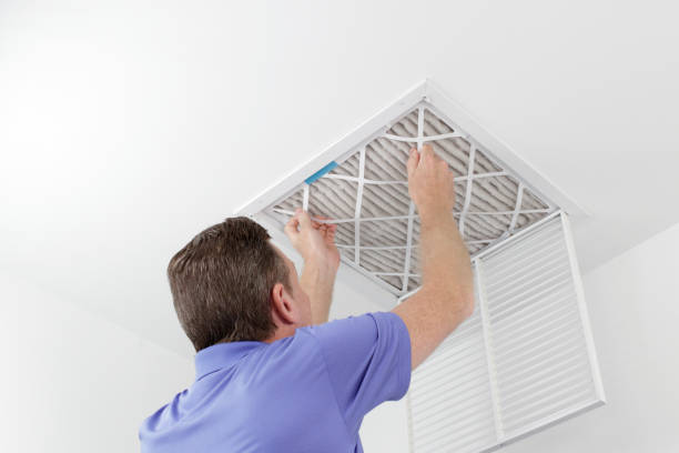 Best Air Vent Cleaning Services  in Federal Heights, CO